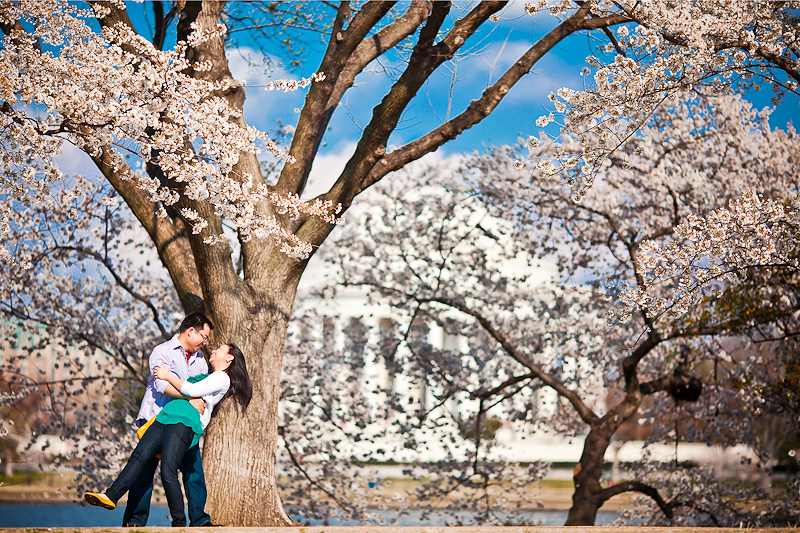 washington-dc-cherry-blossom-engagement-session