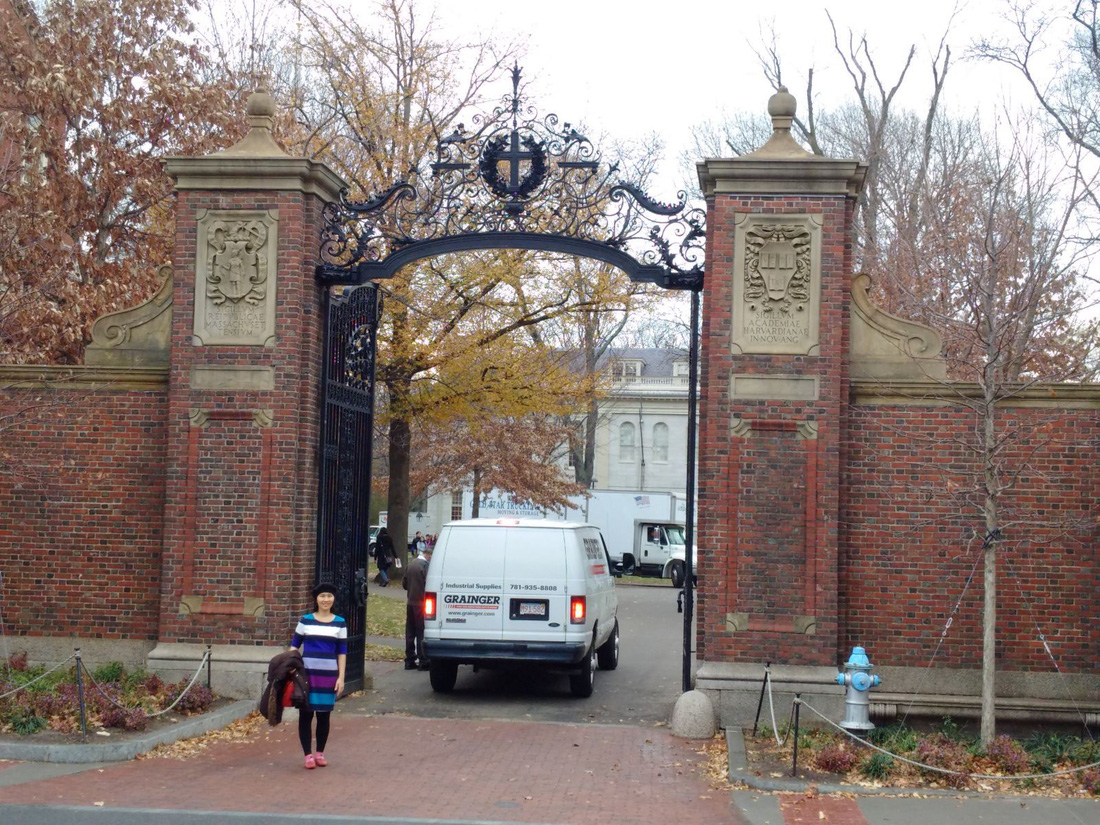 Harvard University 