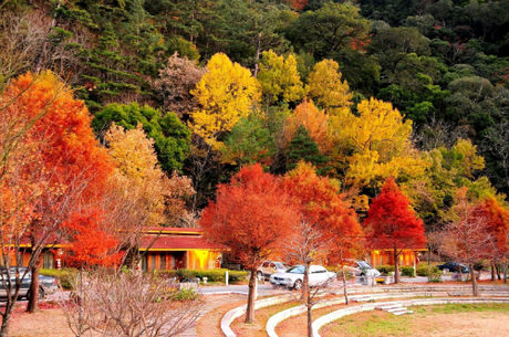 Autumn in Taiwan