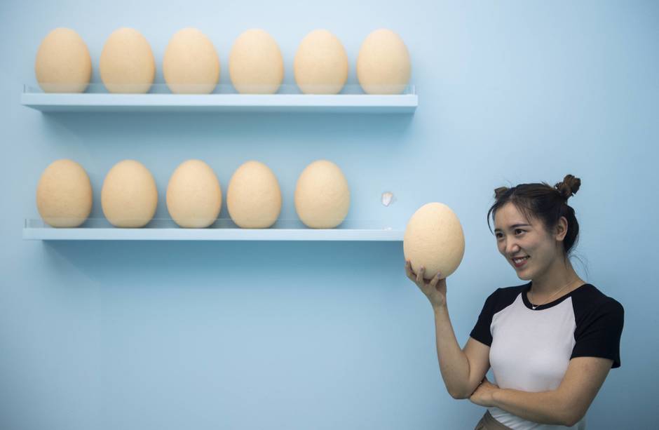 CHINA-LIFESTYLE-PHOTOGRAPHY-EGG-OFFBEAT