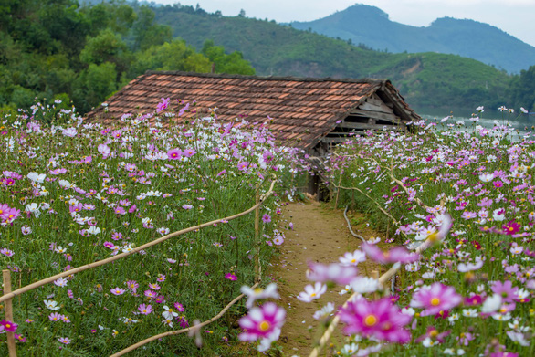 flower island