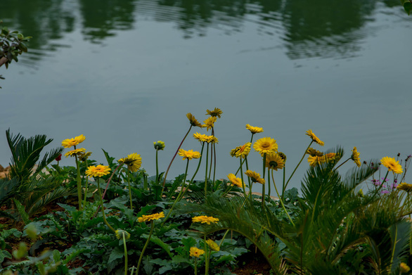 flower island