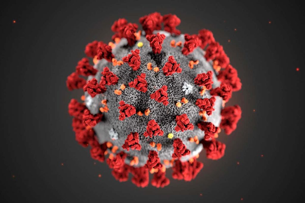 coronavirus nextcolumn