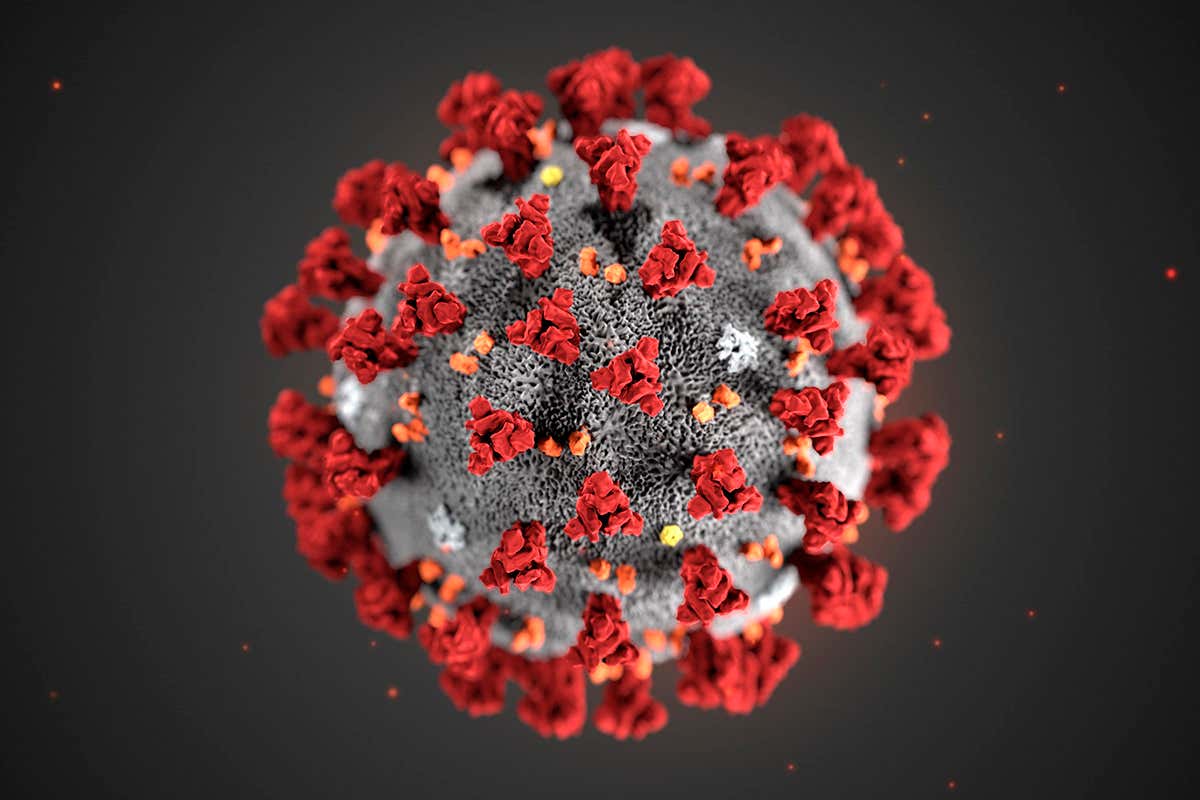 coronavirus nextcolumn