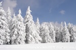 ski-fond-vosges